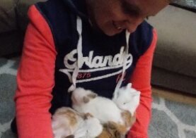 Bunny available for adoption at Seiling Family Farm